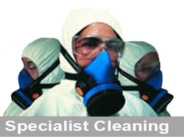 specialist cleaning